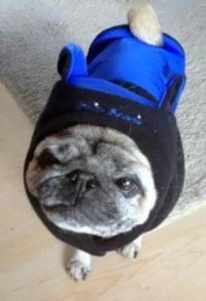 Chilly Beanie Hats: X-treme Blue/Red/ Silver Gray/Pink
