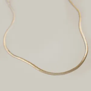 Clyde Chain