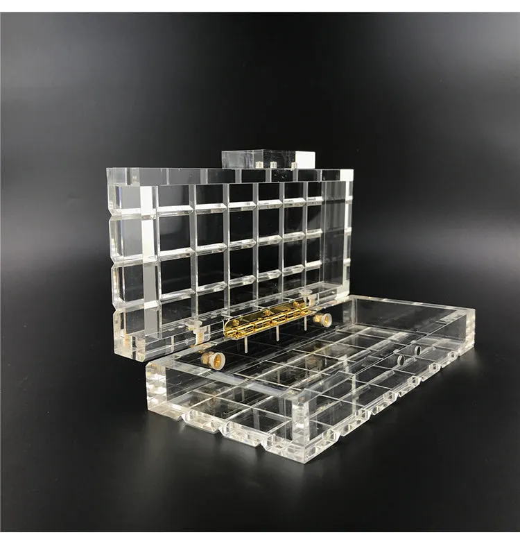 Crystal Clear Acrylic Clutch Bag