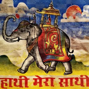 Hindu market bags