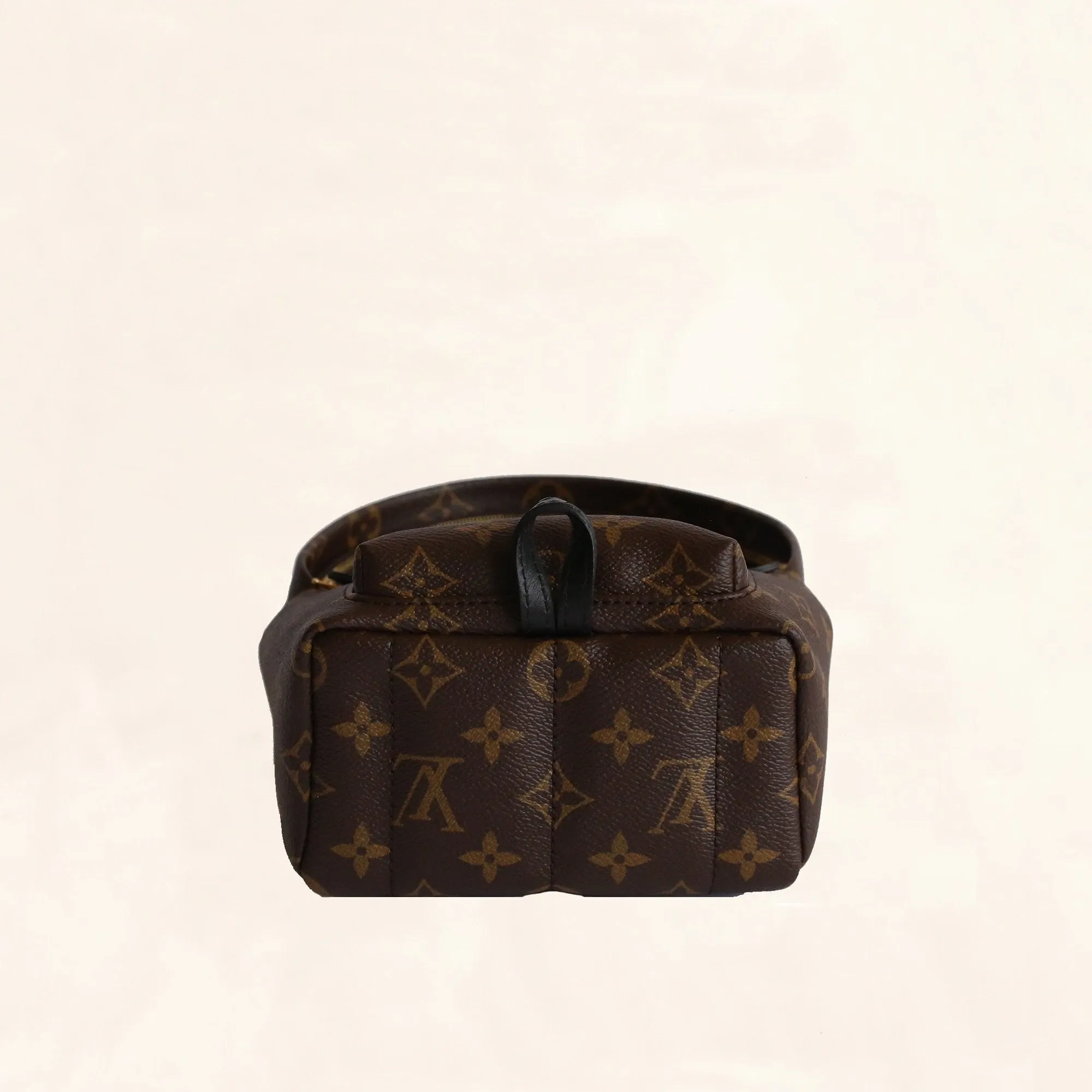 Louis Vuitton Palm Springs Backpack Mini M41562
