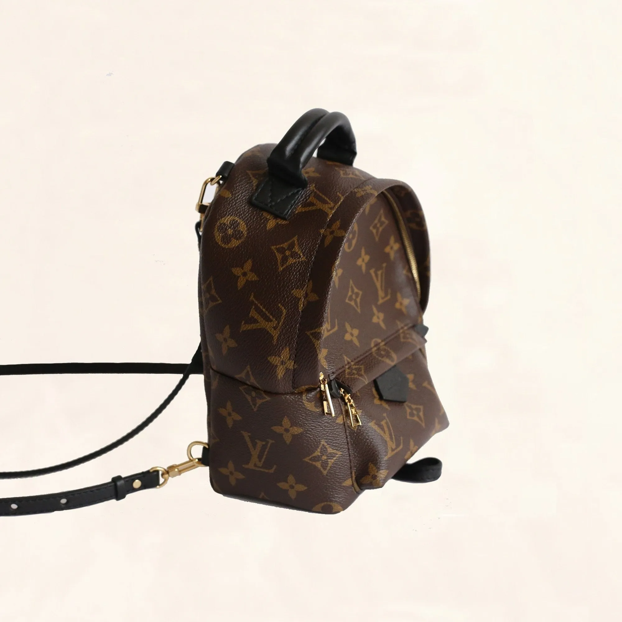 Louis Vuitton Palm Springs Backpack Mini M41562