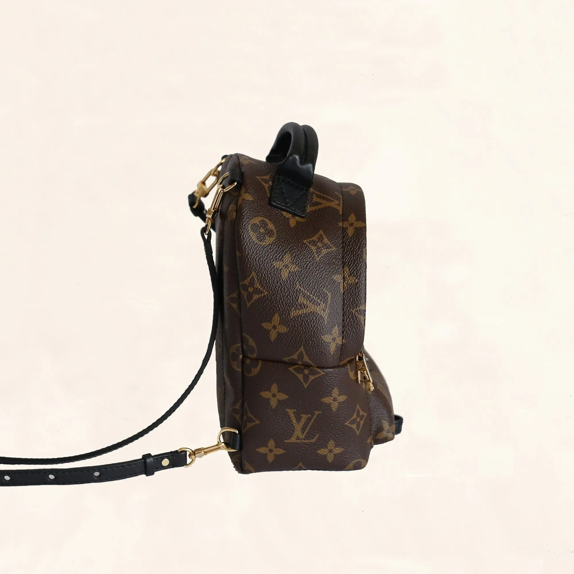 Louis Vuitton Palm Springs Backpack Mini M41562