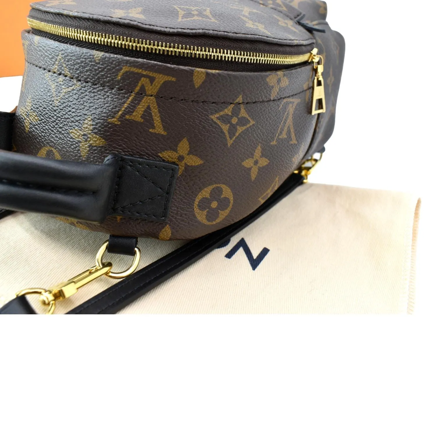 LOUIS VUITTON Palm Springs Mini Monogram Canvas Backpack Brown