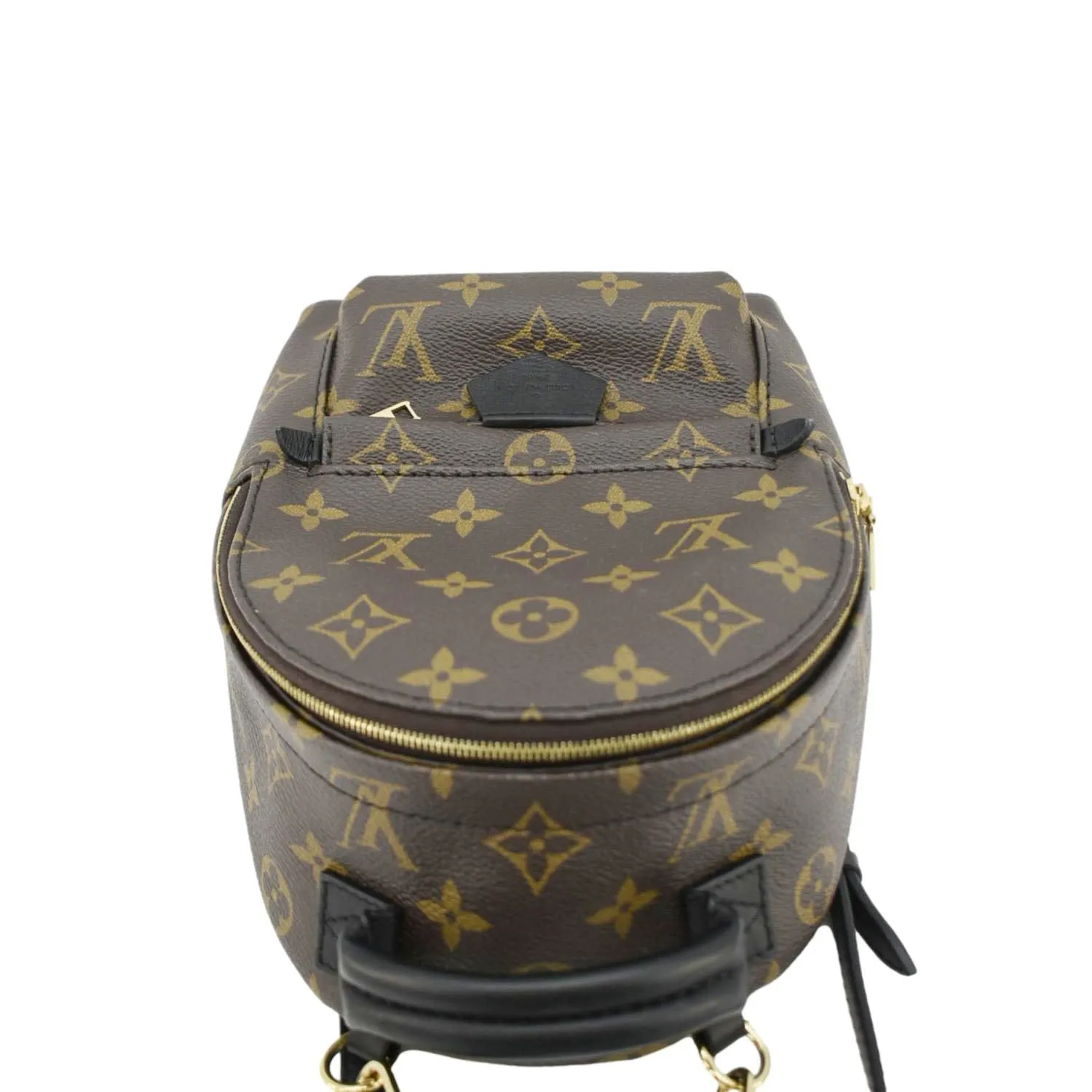 LOUIS VUITTON Palm Springs Mini Monogram Canvas Backpack Brown
