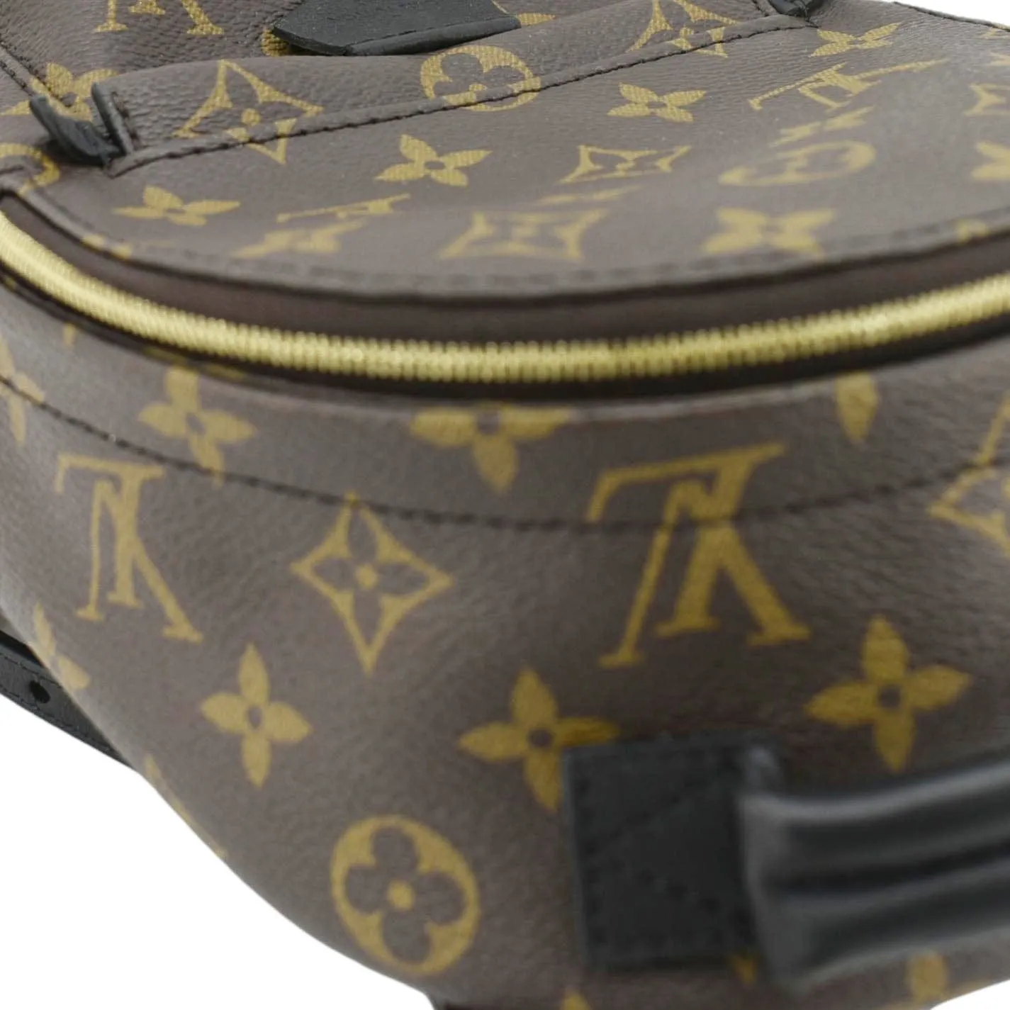 LOUIS VUITTON Palm Springs Mini Monogram Canvas Backpack Brown