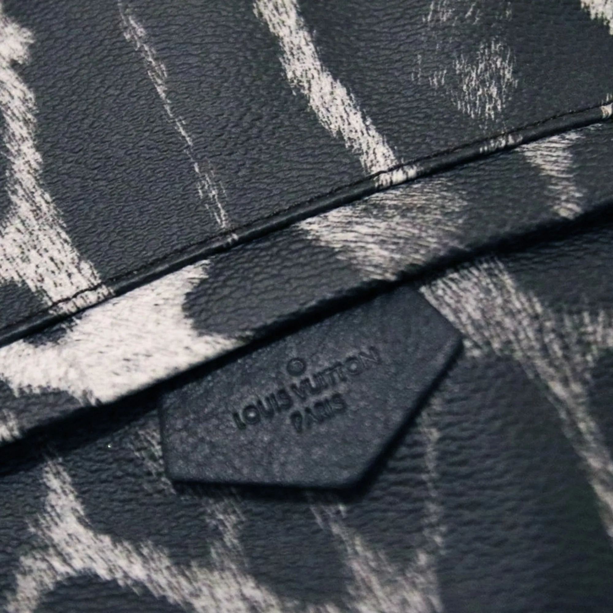 Louis Vuitton | Wild Animal Palm Springs Backpack | PM