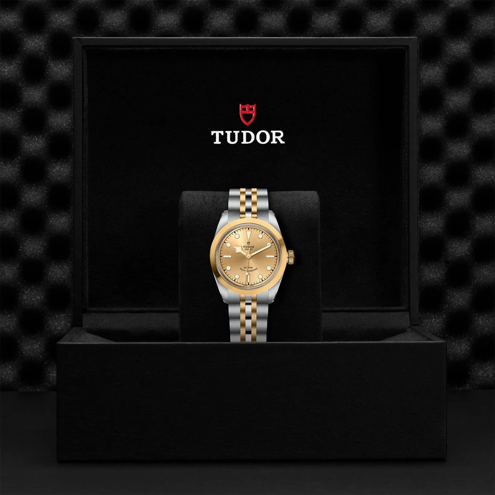 TUDOR Black Bay 32 S&G