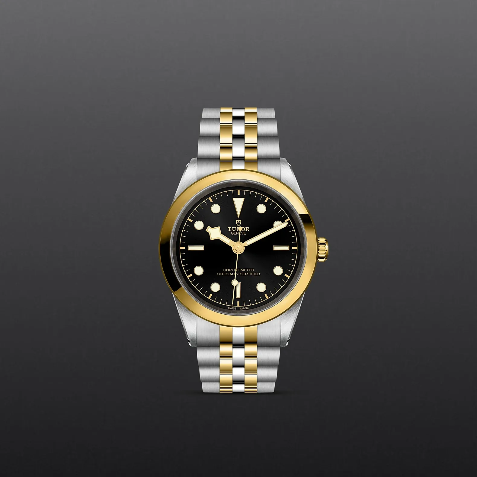 Tudor Black Bay 41 S&G