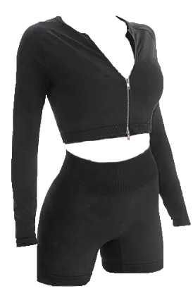Women Seamless 2 Piece Workout Set